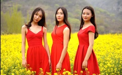 爱乃娜美作品番号